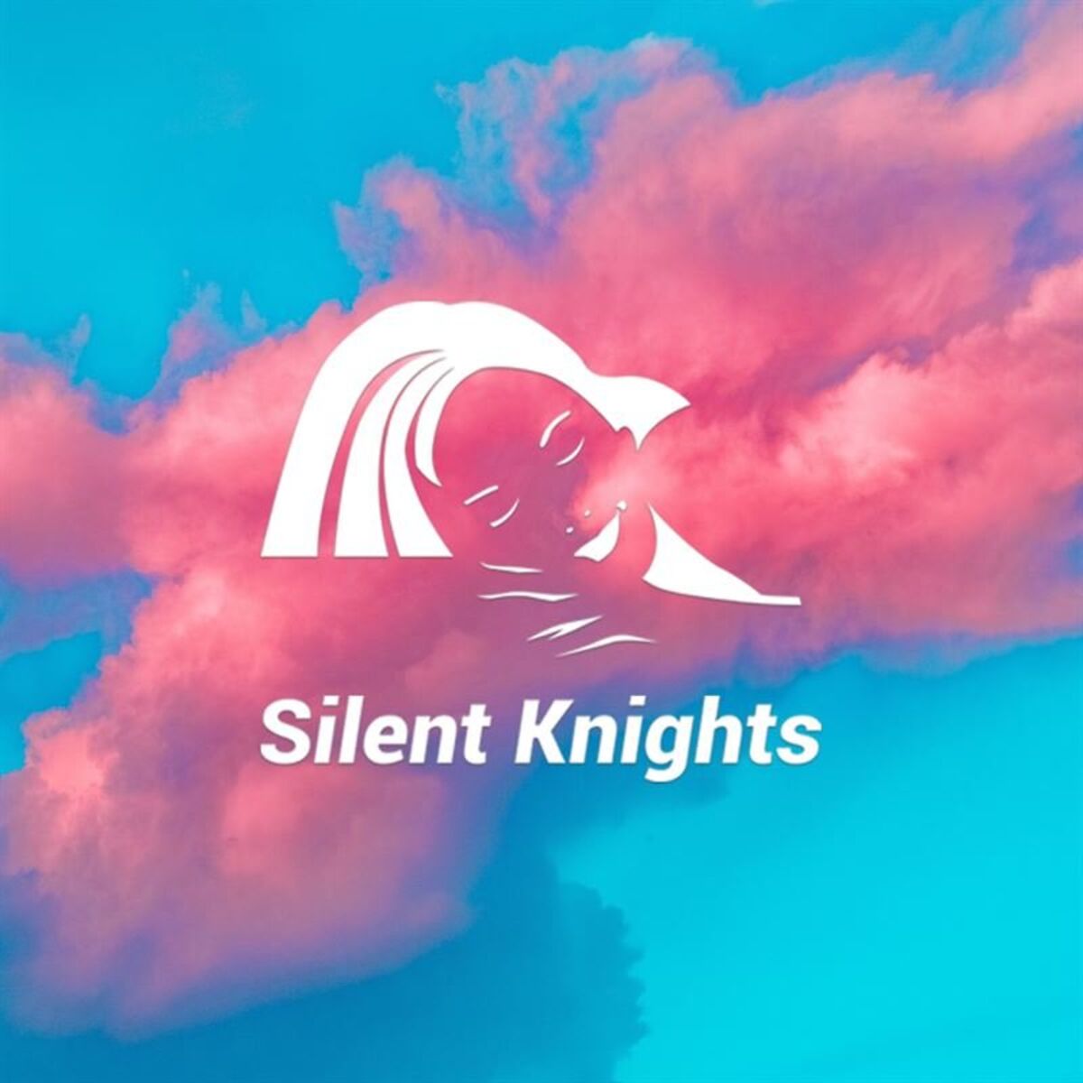 Album cover of Dream Sleep Music