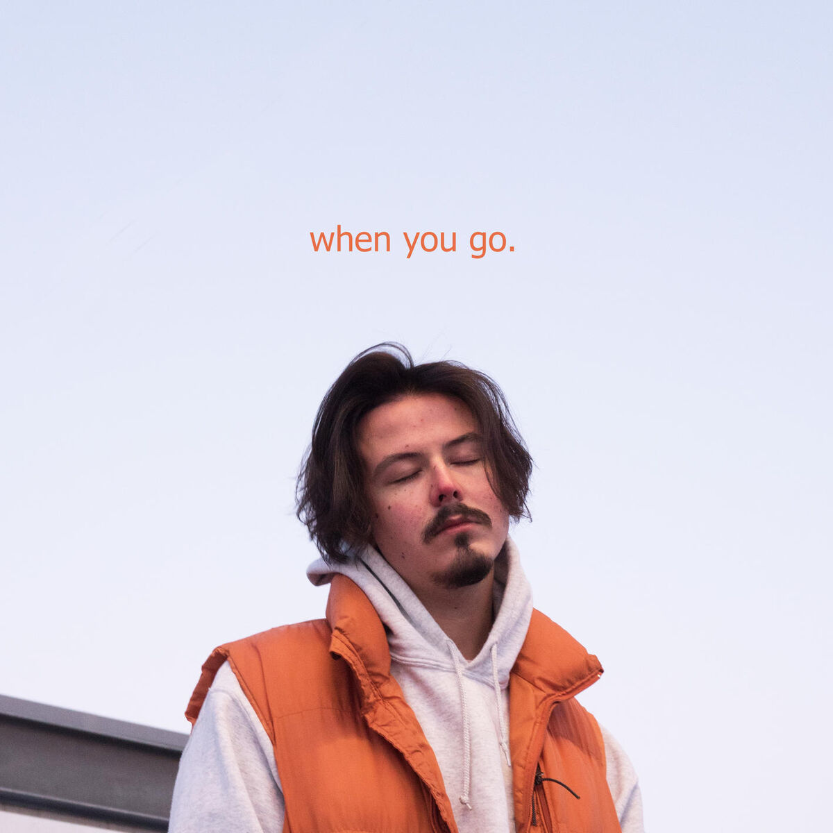 Album cover of When you go