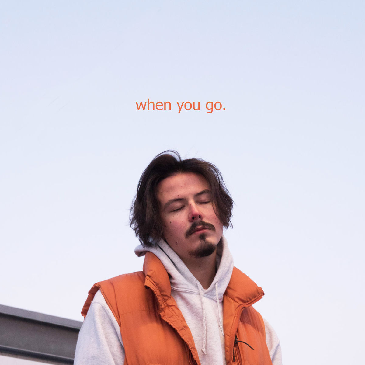 Album cover of When you go