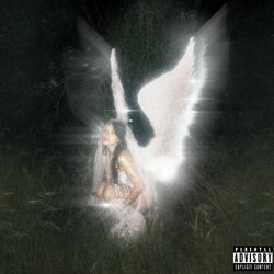Cover of young forever