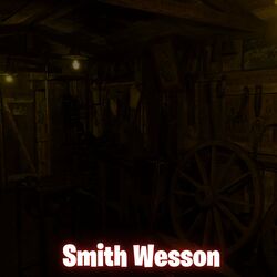 Cover of Smith Wesson
