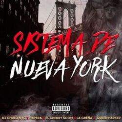 Sistema De Nueva York