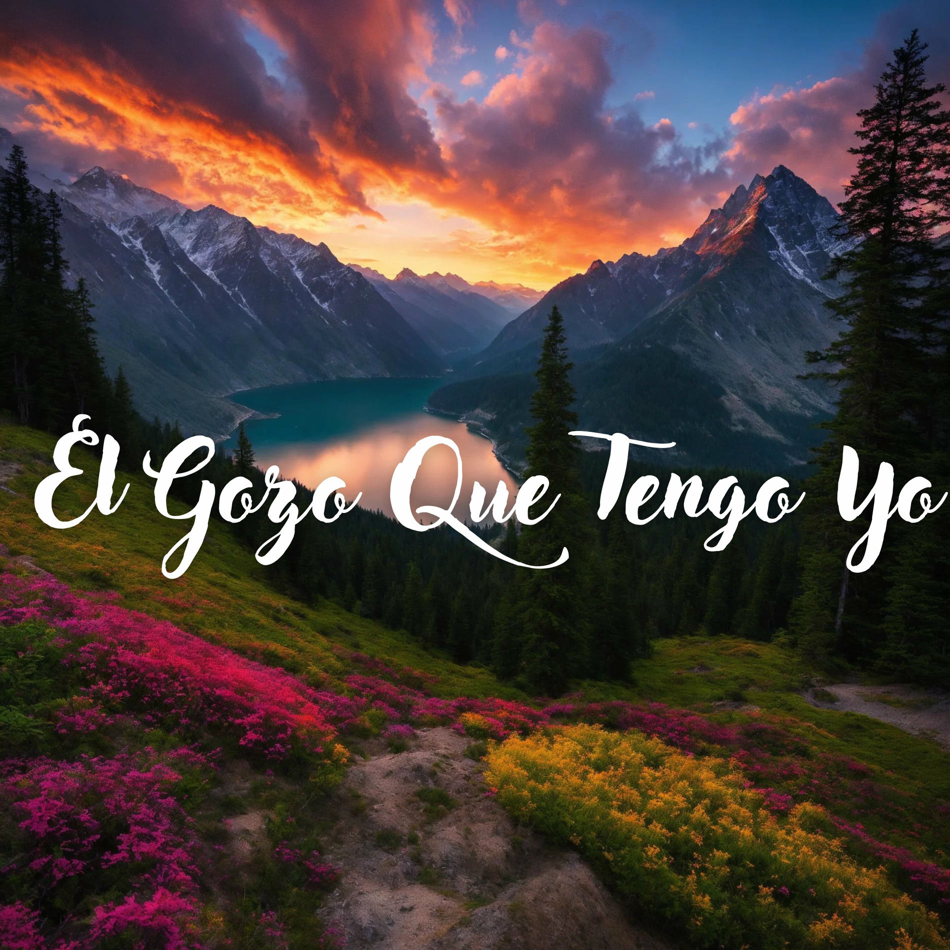 Album cover of El Gozo Que Tengo Yo