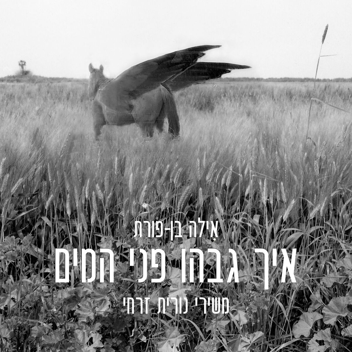 Album cover of איך גבהו פני המים