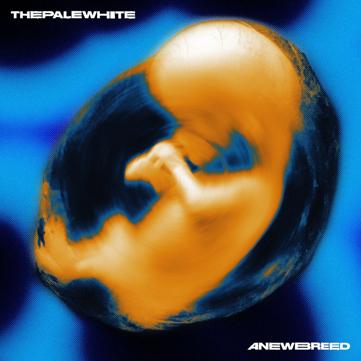 Album cover of Taste The Sun