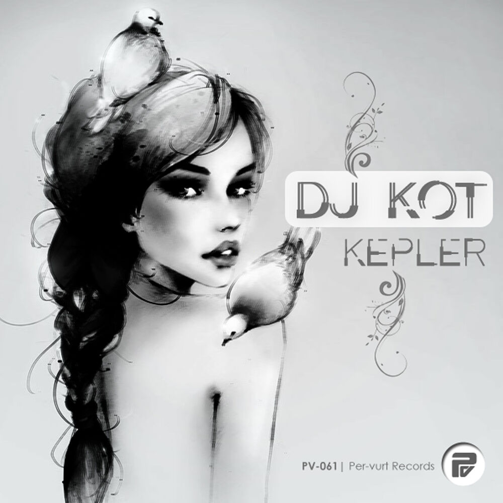 Picture of Kepler