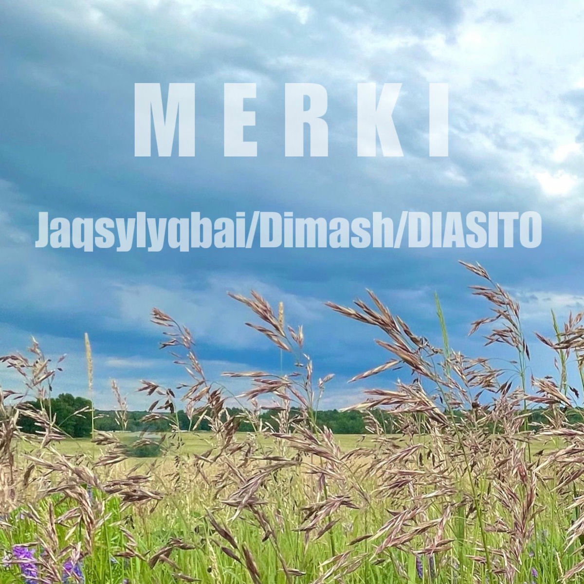 Album cover of Merki