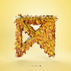 Cover of Now or Never