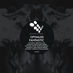 Cover of Fantastic