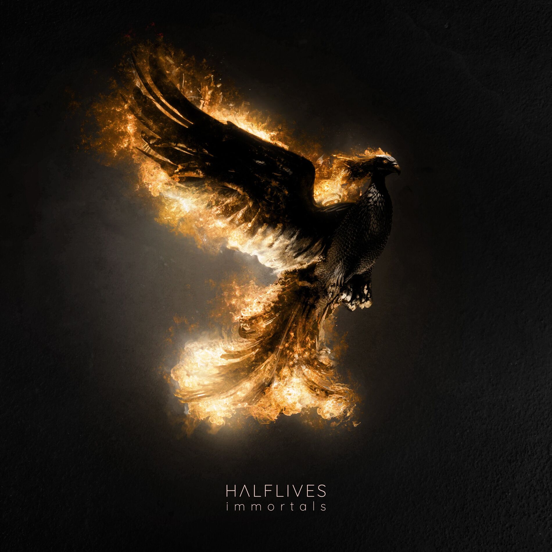 Album cover of Immortals