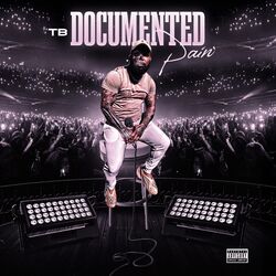 Cover of Documented Pain