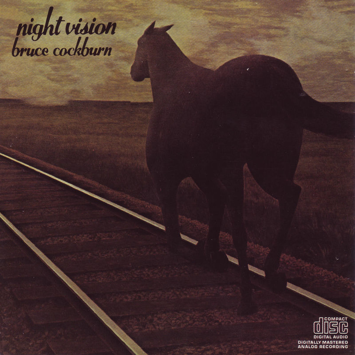 Album cover of Night Vision