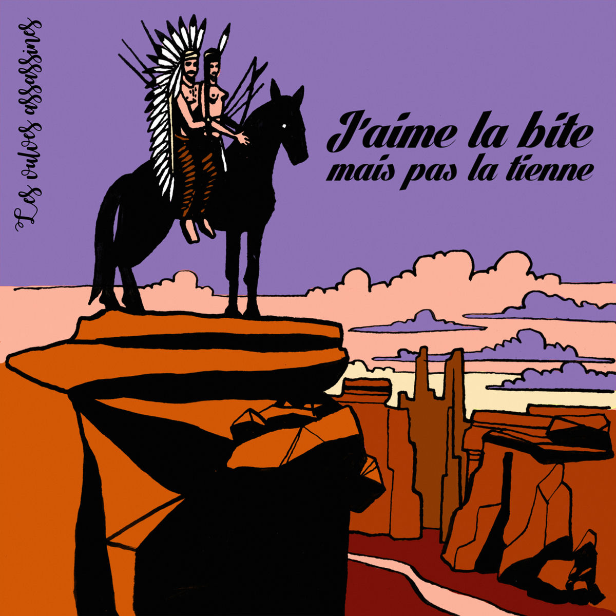 Album cover of J’aime la bite mais pas la tienne