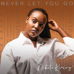 Cover of Never Let You Go