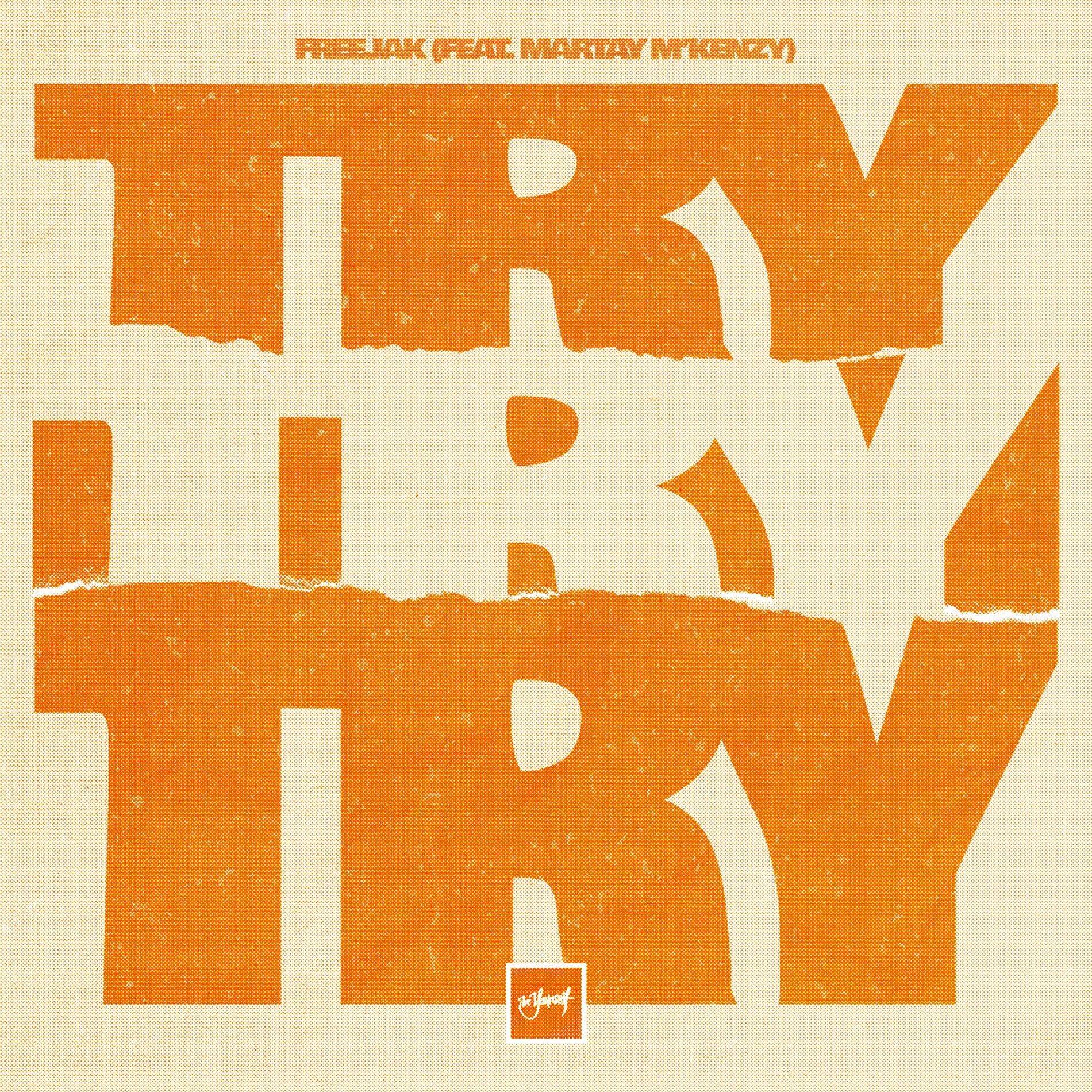 Album cover of Try Try Try