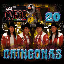 Cover of 20 Chingonas