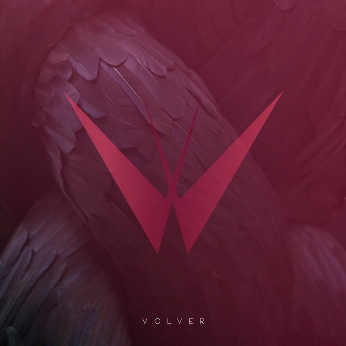 Album cover of Volver