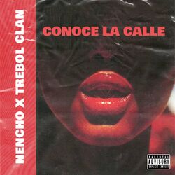Cover of Conoce la Calle
