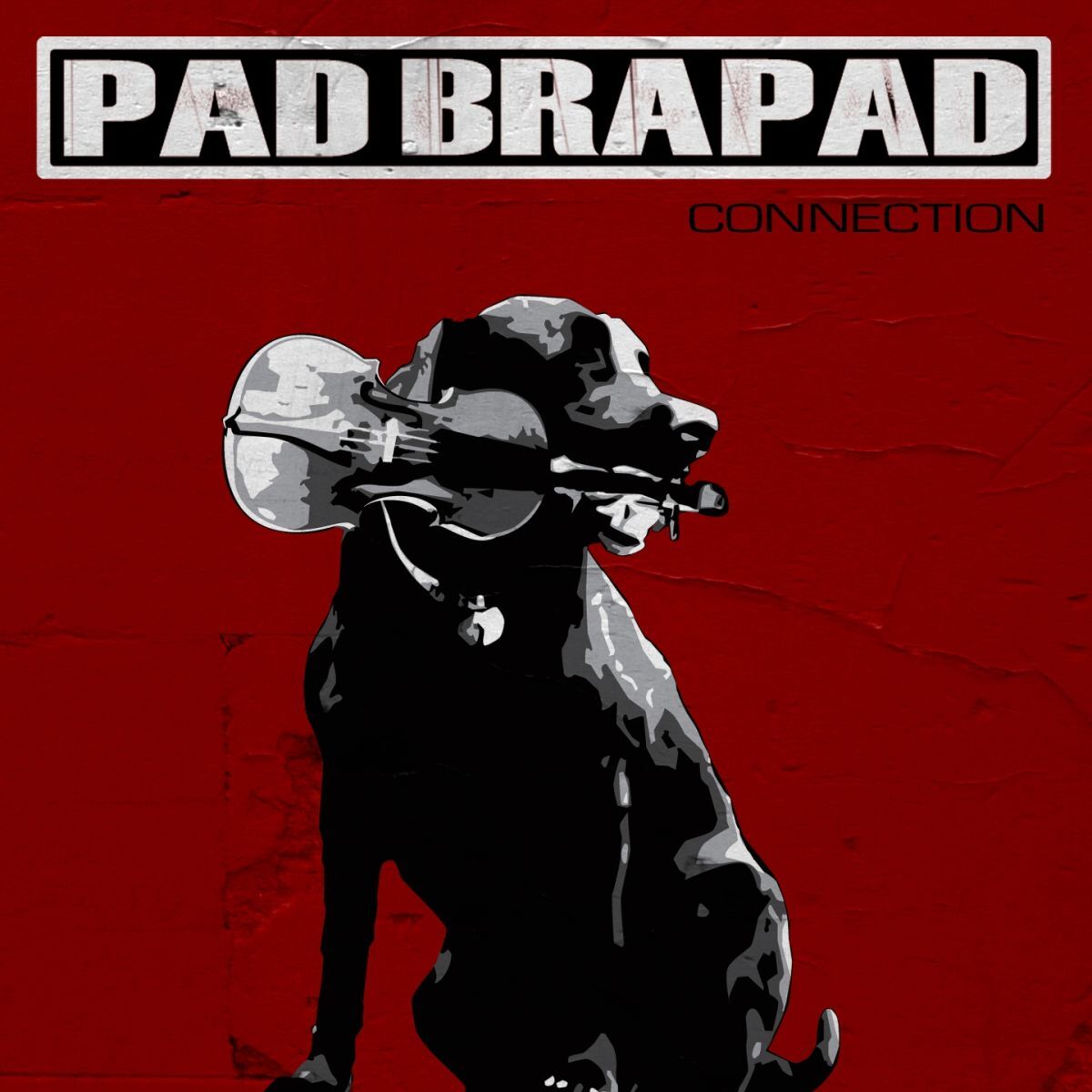 Album cover of Connection