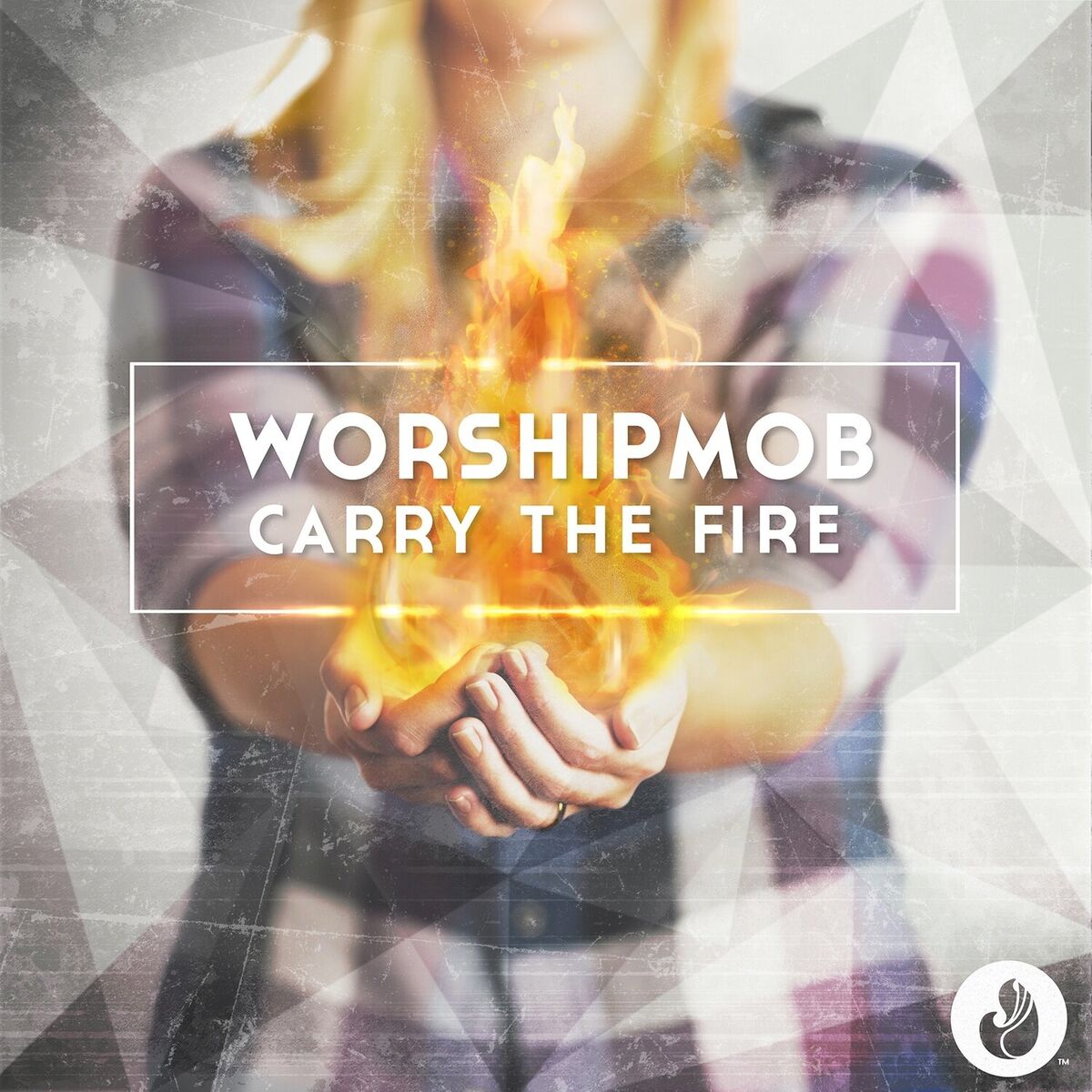 Album cover of Carry the Fire