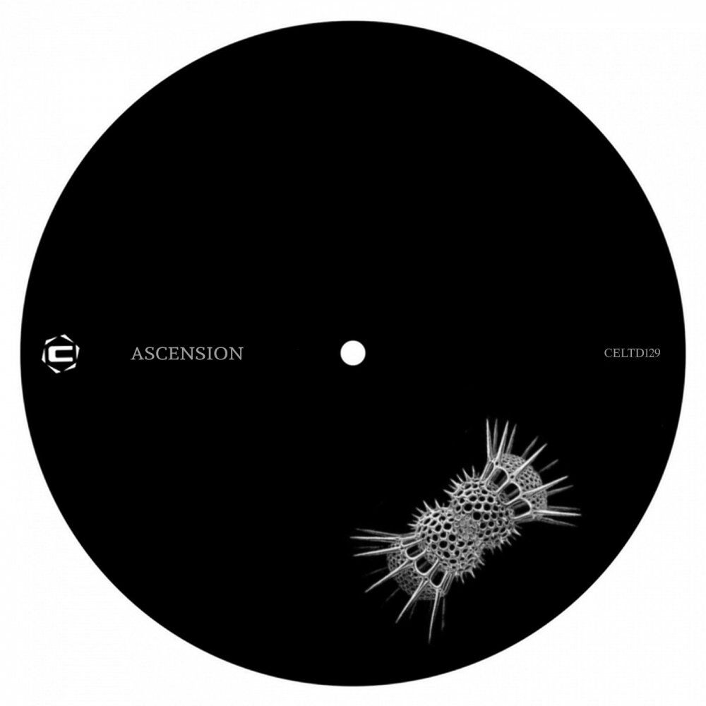 Picture of Ascension