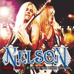 Cover of Perfect Storm (After The Rain World Tour 1991)