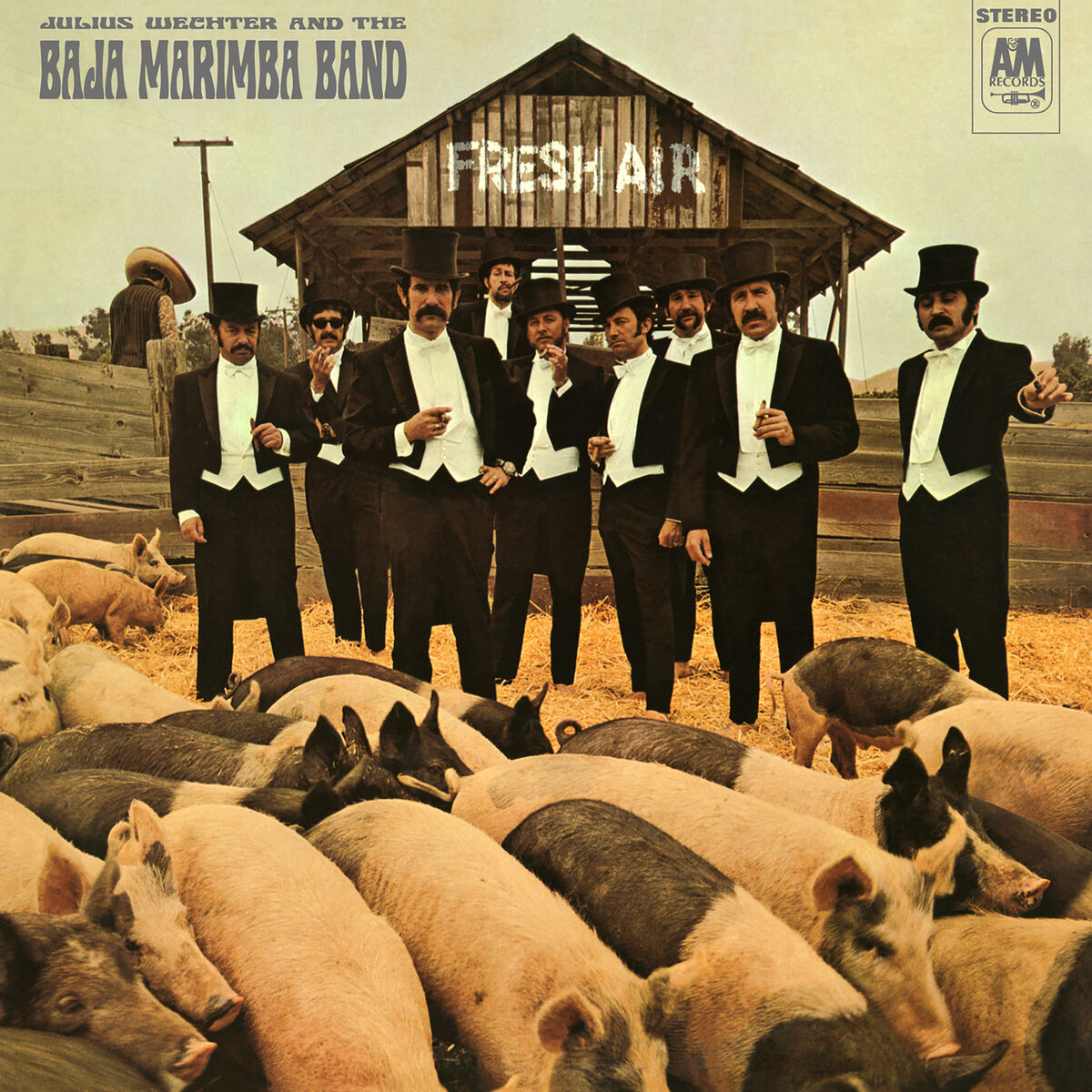 Album cover of Fresh Air