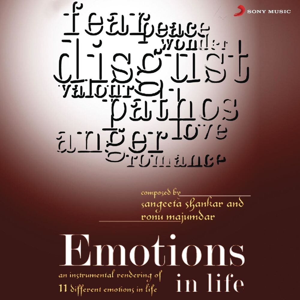 Picture of Emotions in Life