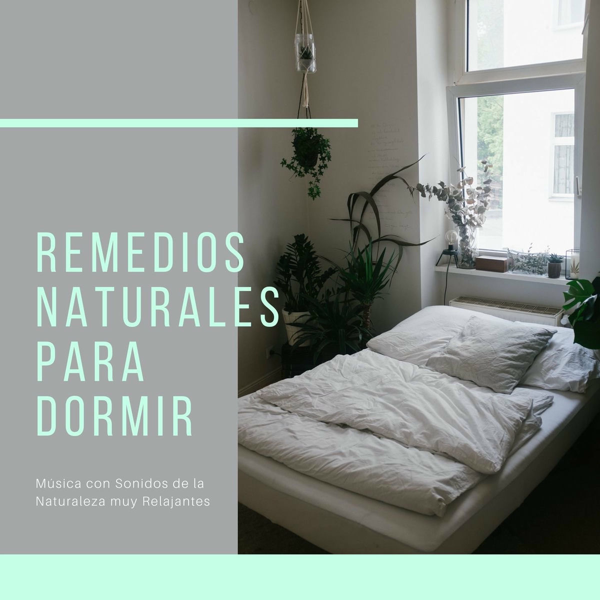 Album cover of Remedios Naturales para Dormir: Música con Sonidos de la Naturaleza muy Relajantes