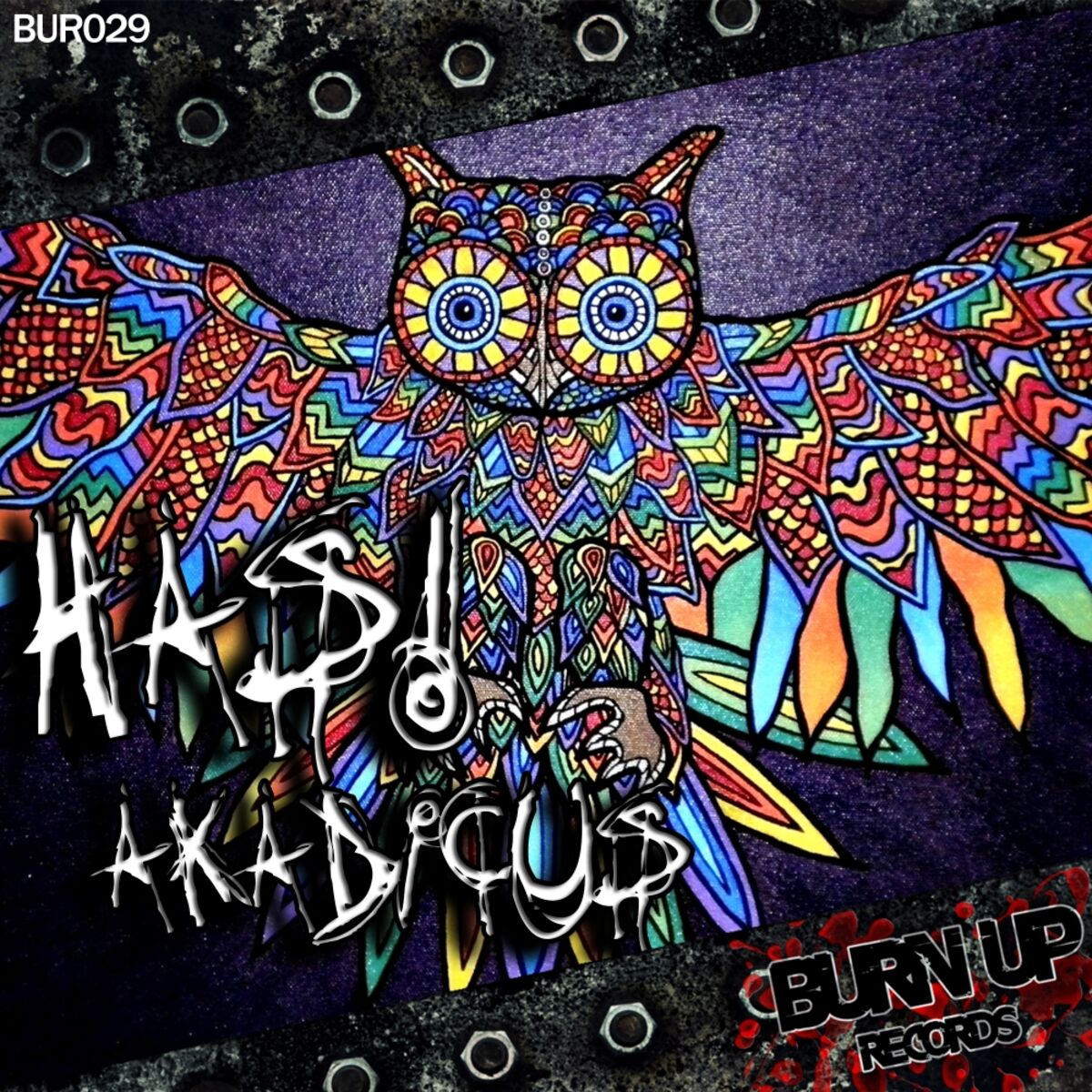 Album cover of Akadicus