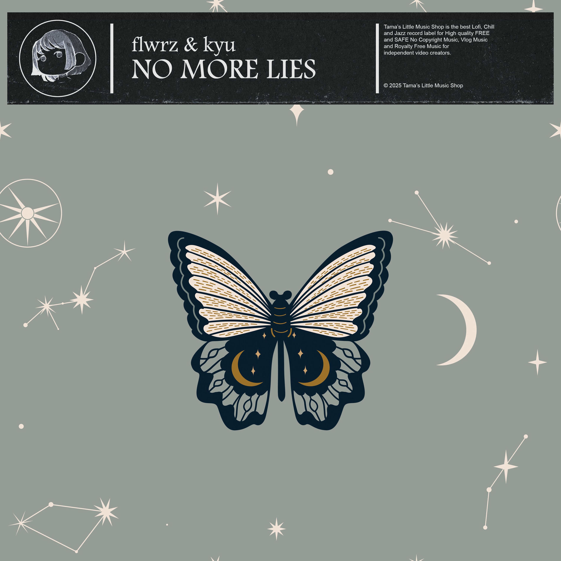 Album cover of No More Lies