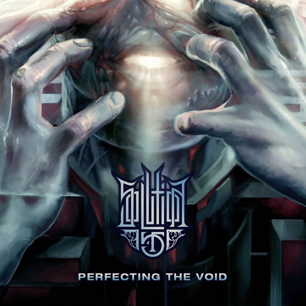 Picture of Perfecting the Void