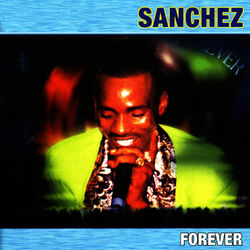 Cover of Forever