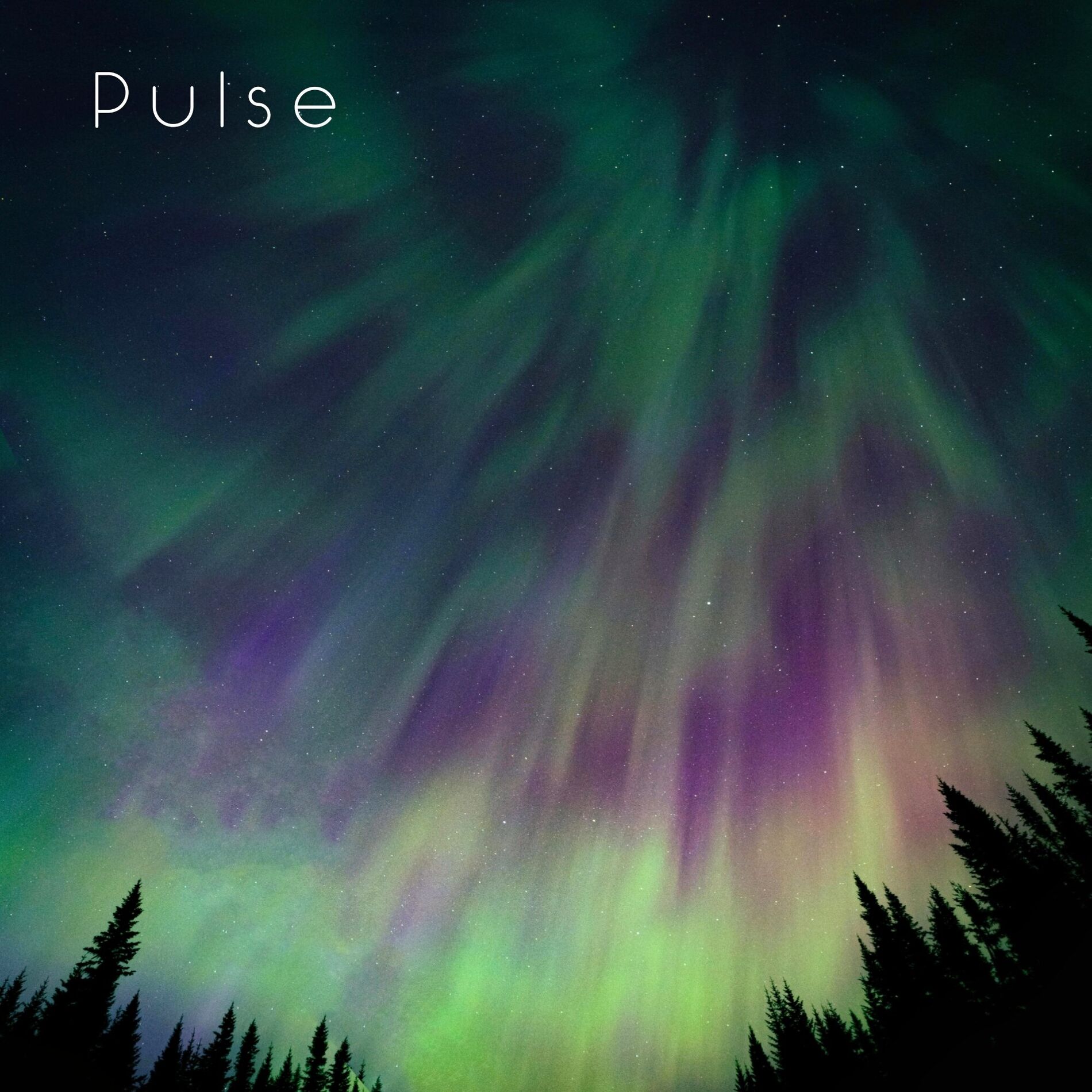 Album cover of Pulse