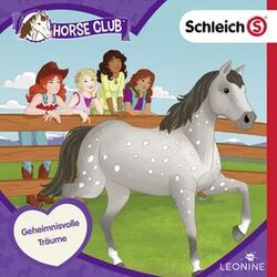 Cover of Folge 11: Geheimnisvolle Träume