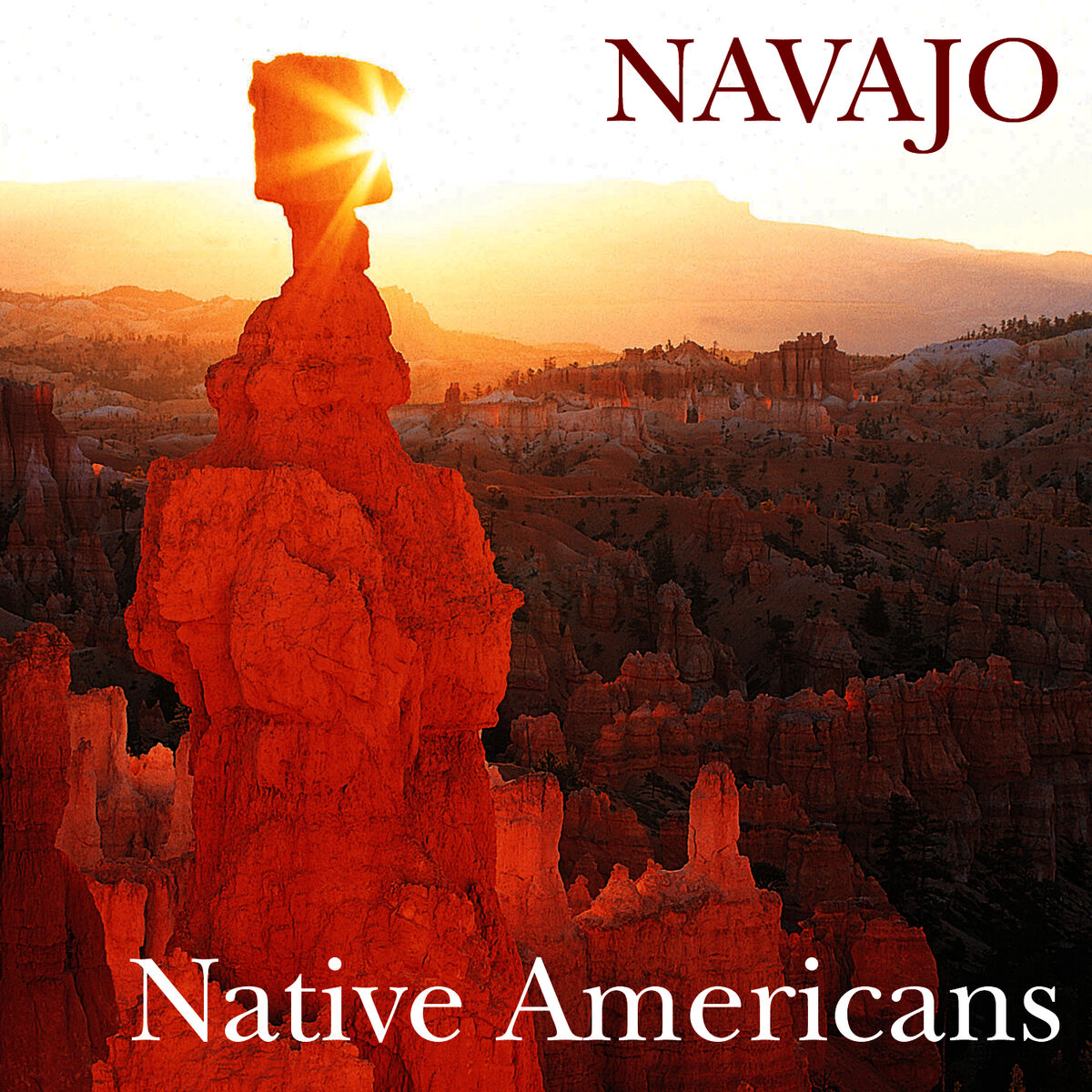 Album cover of Native Americans