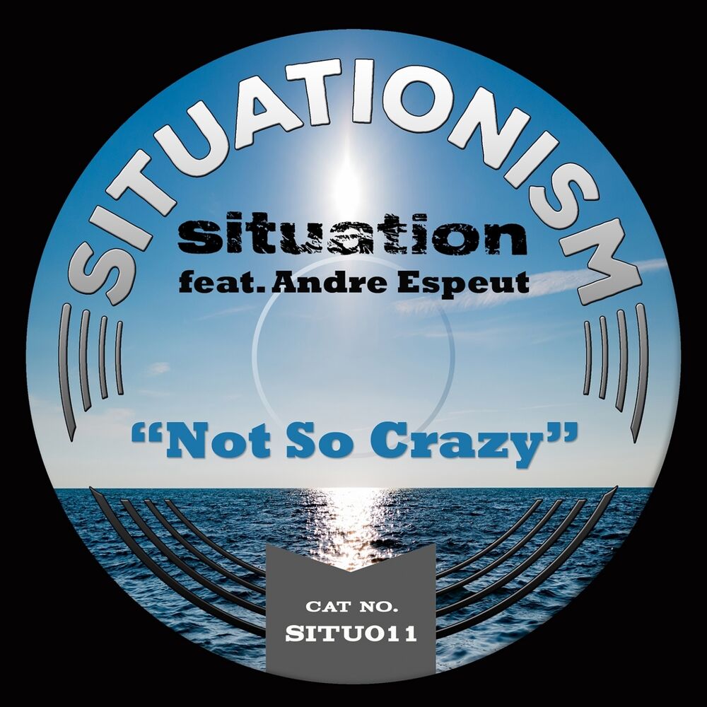 Picture of Not so Crazy