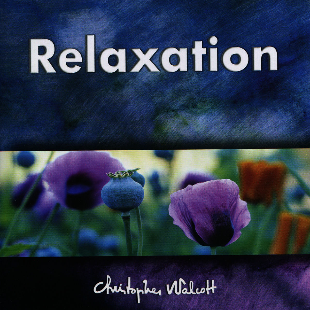 Album cover of Relaxation - L'instant de la Paix de L'espirit