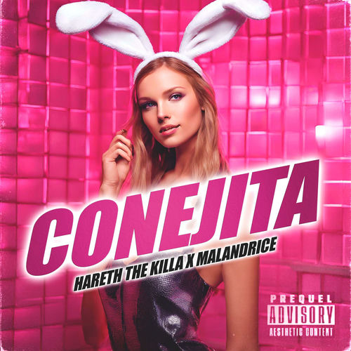 Conejita (feat. Malandrice) cover art