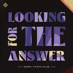 Cover of Looking For the Answer