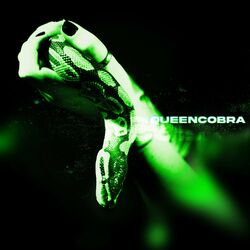 Cover of Queen Cobra