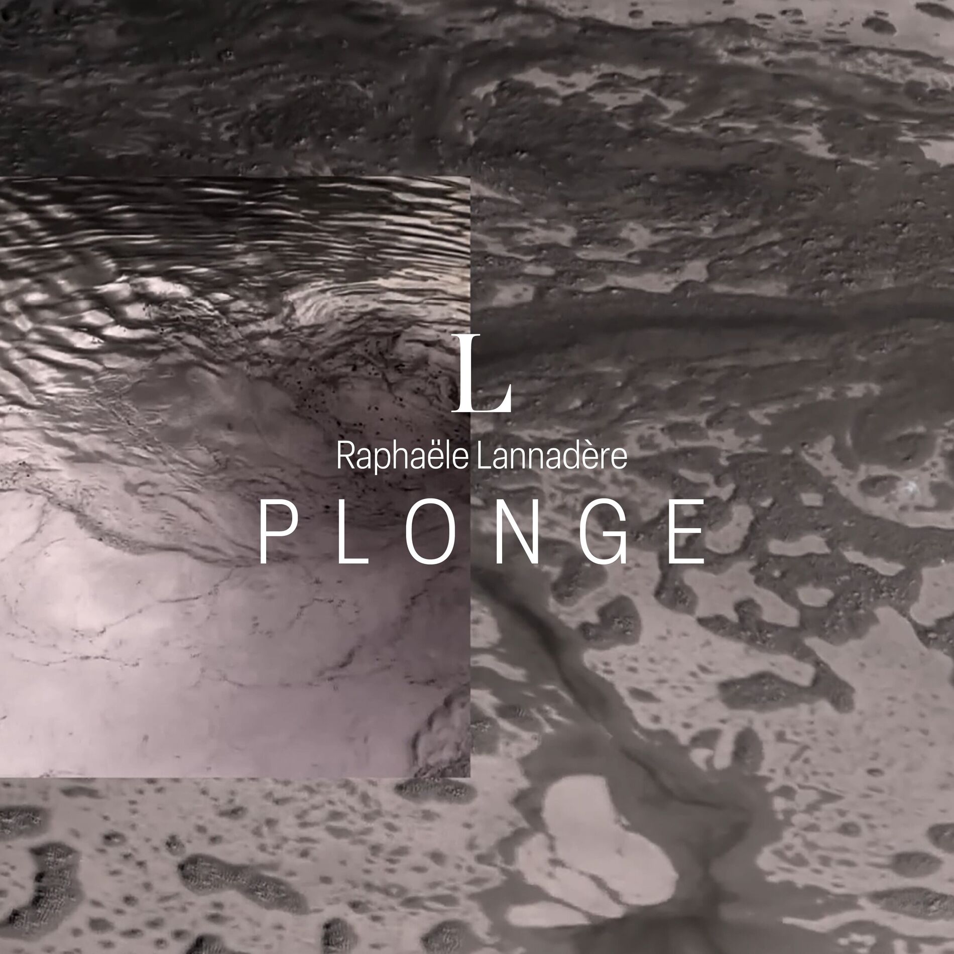 Album cover of Plonge (Remix)