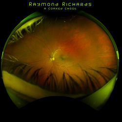 Descargar Still Breathing - Raymond Richards MP3