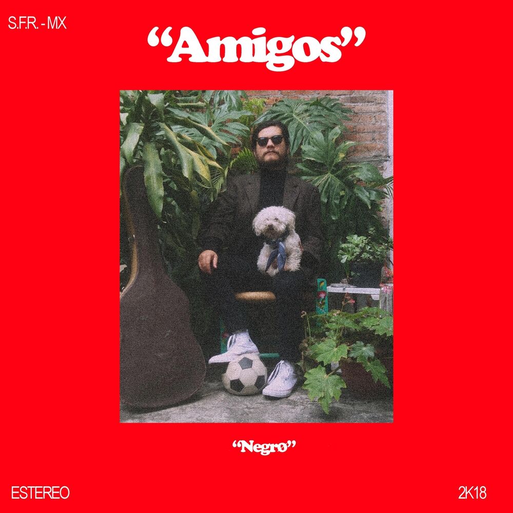 Picture of Amigos