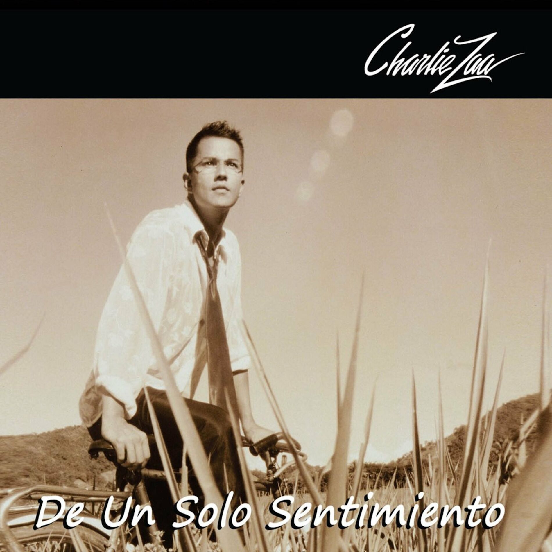Album cover of La Cadena Se Rompió
