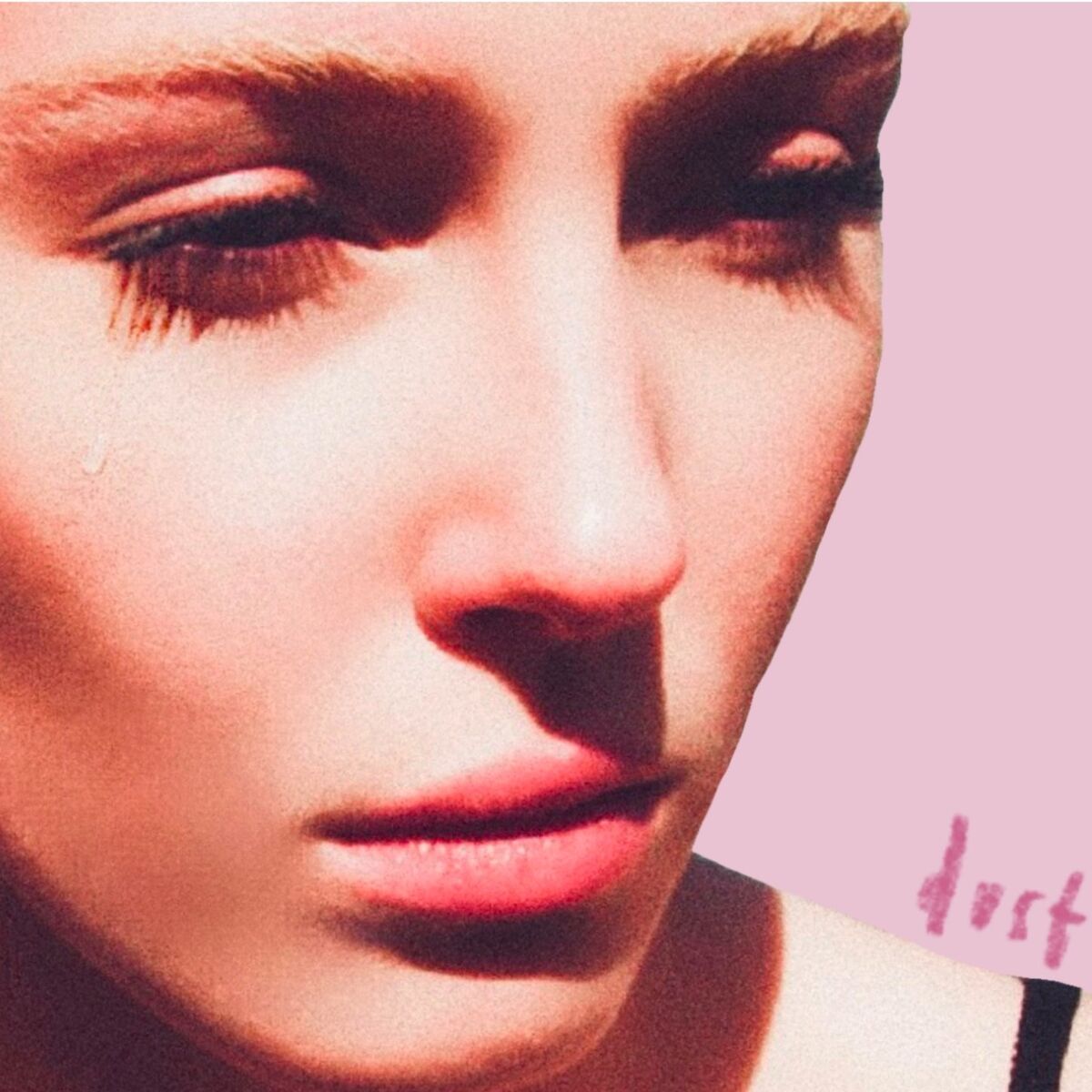 Album cover of Dust