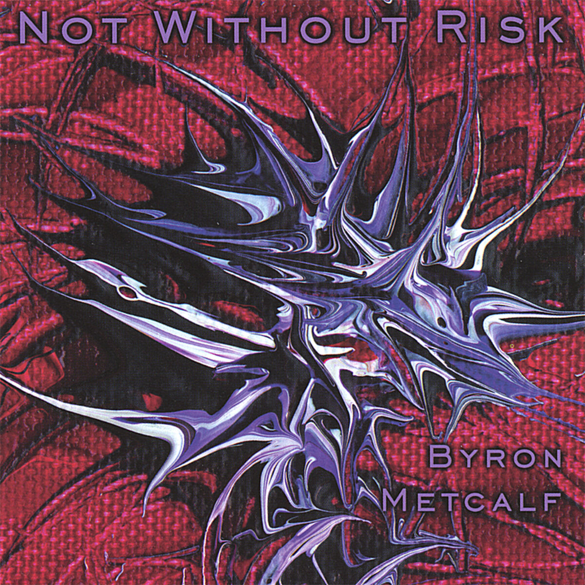 Album cover of Not Without Risk