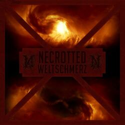 Cover of Weltschmerz