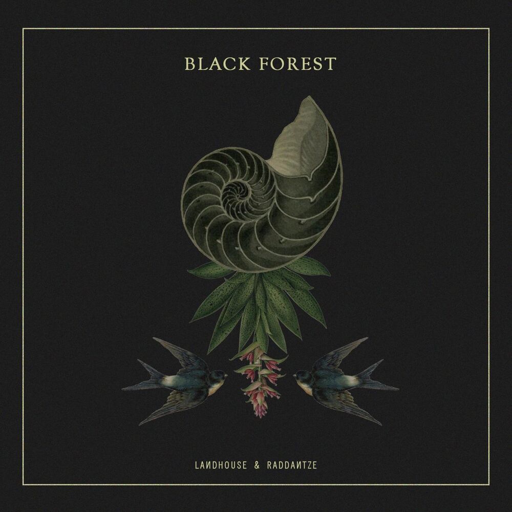 Picture of Black Forest - Random Collective Records