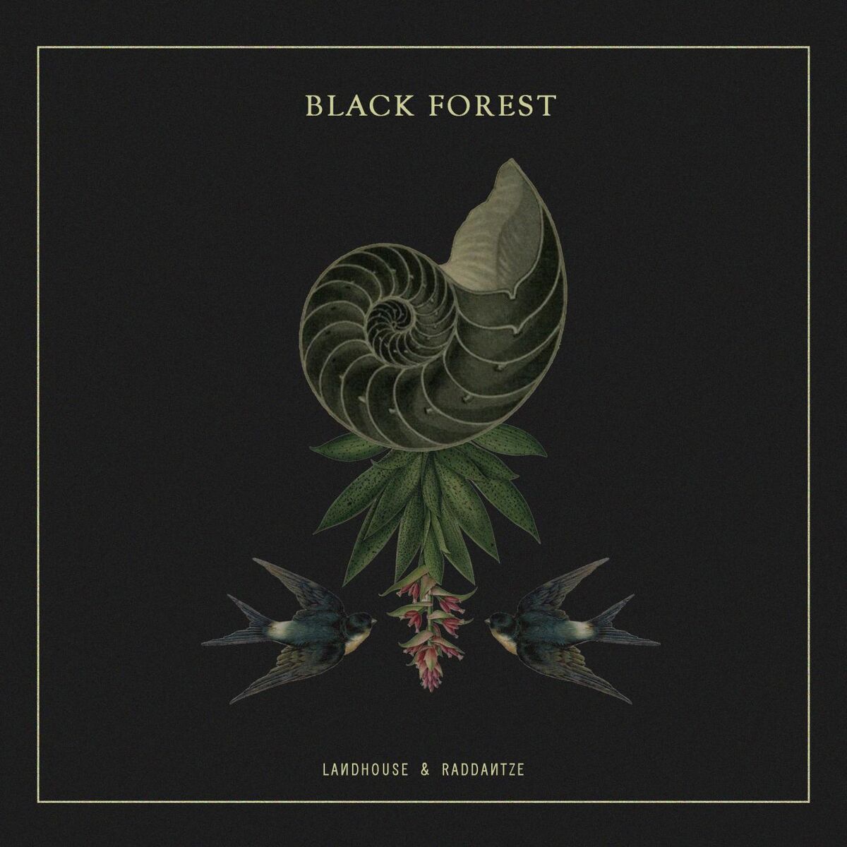 Album cover of Black Forest - Random Collective Records